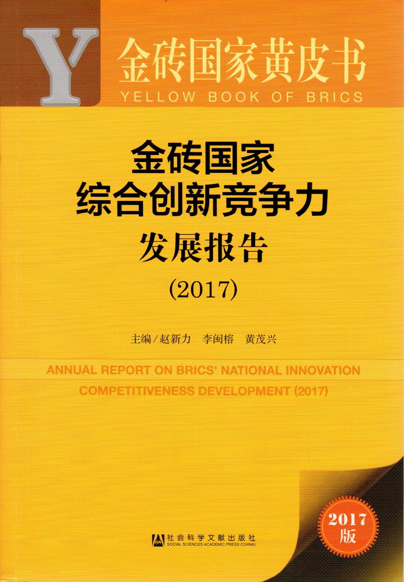 大鸡巴爆操小逼视频免费金砖国家综合创新竞争力发展报告（2017）